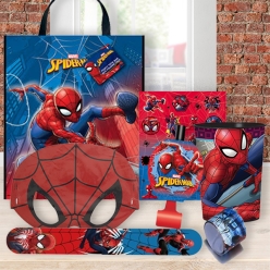 *Spiderman Tote Bag with Toys